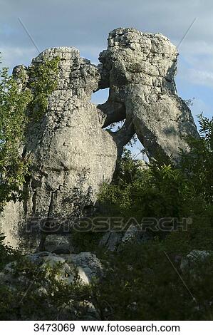 Stock Photo - France, Ardeche, Chassagnes, Wood of Paiolive. Curious looking white rocks in a sessile oak forest. The Bear and the Lion. Fotosearch