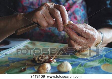 France, Ardeche, Jaujac, hamlet of Les Traverse. Mrs Chazes peeling chestnuts in her kitchen View Large Photo Image Stock Photo - France, Ardeche, Jaujac, hamlet of Les Traverse. Mrs Chazes peeling chestnuts in her kitchen. Fotosearch