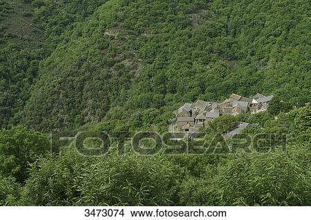 France, Ardeche, Lacoste, the hamlet of Lacoste in the middle of a chestnut trees hill View Large Photo Image Picture - France, Ardeche, Lacoste, the hamlet of Lacoste in the middle of a chestnut trees hill. Fotosearch