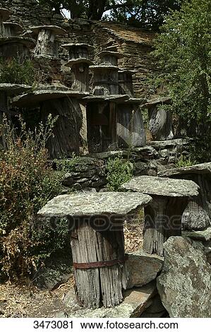 France, Ardeche, Pierries, hamlet of Perries, Apiculture, honey made in traditional chestnut tree trunk hives View Large Photo Image Stock Image - France, Ardeche, Pierries, hamlet of Perries, Apiculture, honey made in traditional chestnut tree trunk hives. Fotosearch