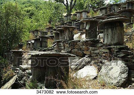 France, Ardeche, Pierries, hamlet of Perries, Apiculture, honey made in traditional chestnut tree trunk hives View Large Photo Image Stock Image - France, Ardeche, Pierries, hamlet of Perries, Apiculture, honey made in traditional chestnut tree trunk hives. Fotosearch