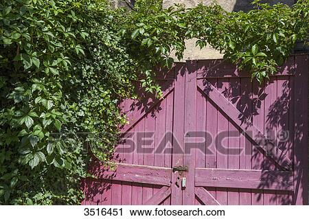 France, Aude, Bugarach, B & B Le Presbytere, garden gate. View Large Photo Image Stock Image - France, Aude, Bugarach, B & B Le Presbytere, garden gate.. Fotosearch