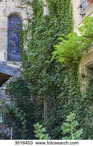 France, Aude, Bugarach, Le Presbytere B & B, and stained glass of the church seen from outside View Large Photo Image Stock Image - France, Aude, Bugarach, Le Presbytere B & B, and stained glass of the church seen from outside. Fotosearch