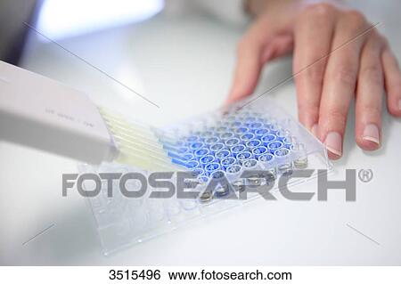 France, biological tests View Large Photo Image Stock Photograph - France, biological tests. Fotosearch
