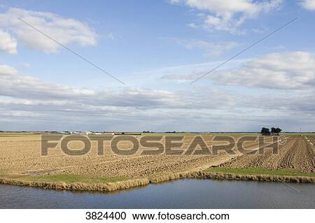 France, Bouin, Vendee, polder. View Large Photo Image Stock Image - France, Bouin, Vendee, polder.. Fotosearch