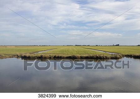 France, Bouin, Vendee, polder. View Large Photo Image Stock Photo - France, Bouin, Vendee, polder.. Fotosearch
