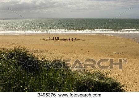 France, Brittany, Cotes-d'Armor, Beg Leguer beach View Large Photo Image Stock Photograph - France, Brittany, Cotes-d'Armor, Beg Leguer beach. Fotosearch