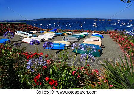 France, Brittany. Crozon Peninsula. Lanvoc. Rade de Brest. View Large Photo Image Stock Photo - France, Brittany. Crozon Peninsula. Lanvoc. Rade de Brest.. Fotosearch