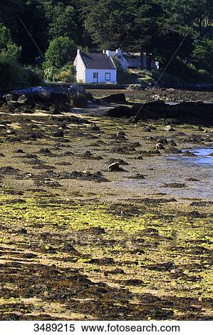France, Brittany. Ile aux Moines. Le Lerio. View Large Photo Image Stock Photography - France, Brittany. Ile aux Moines. Le Lerio.. Fotosearch