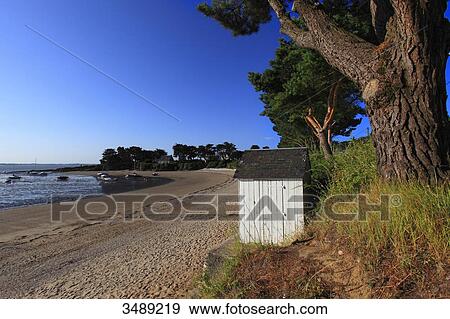 France, Brittany. Kervoyal beach. View Large Photo Image Stock Photo - France, Brittany. Kervoyal beach.. Fotosearch
