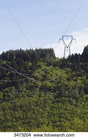 France, central Southern France, the regional natural park of Haut-Languedoc, La Montagne Noire, high-voltage line View Large Photo Image Picture - France, central Southern France, the regional natural park of Haut-Languedoc, La Montagne Noire, high-voltage line. Fotosearch