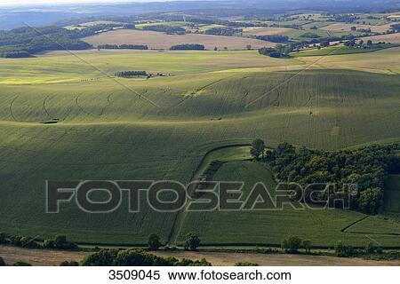 France, Dordogne, aerial view of a cornfield View Large Photo Image Stock Photography - France, Dordogne, aerial view of a cornfield. Fotosearch