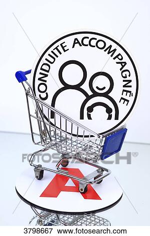 France, driving licence View Large Photo Image Stock Photo - France, driving licence. Fotosearch