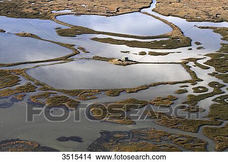 France, Gironde. Arcachon Bay. Bird Island. View Large Photo Image Picture - France, Gironde. Arcachon Bay. Bird Island.. Fotosearch