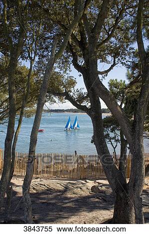 France, Island of Noirmoutier, Pointe de Saint-Pierre, two sailboats. View Large Photo Image Stock Photography - France, Island of Noirmoutier, Pointe de Saint-Pierre, two sailboats.. Fotosearch