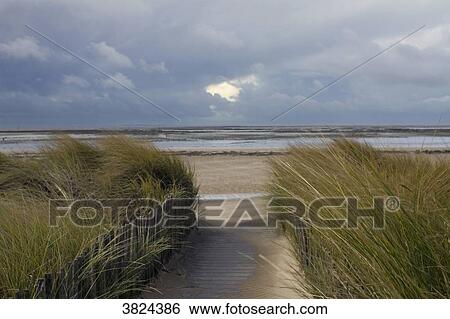 Stock Photograph - France, La Bernerie-en-Retz, la Grande Plage in winter, grass leeward.. Fotosearch