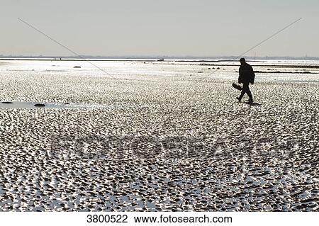 Stock Image - France, La Bernerie-en-Retz, man returning from fishing on foot.. Fotosearch