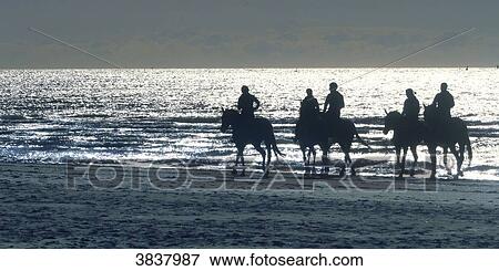 France, Leffrinckoucke. Horses on the beach View Large Photo Image Stock Photo - France, Leffrinckoucke. Horses on the beach. Fotosearch