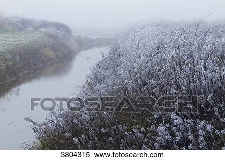 France, Les Moutiers-en-Retz, countryside covered with white frost. View Large Photo Image Stock Photography - France, Les Moutiers-en-Retz, countryside covered with white frost.. Fotosearch