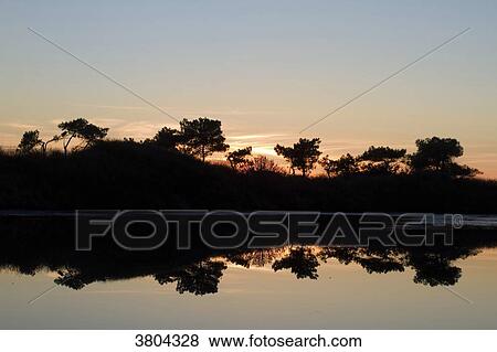 France, Les Moutiers-en-Retz, twilight on a pond. View Large Photo Image Stock Photo - France, Les Moutiers-en-Retz, twilight on a pond.. Fotosearch