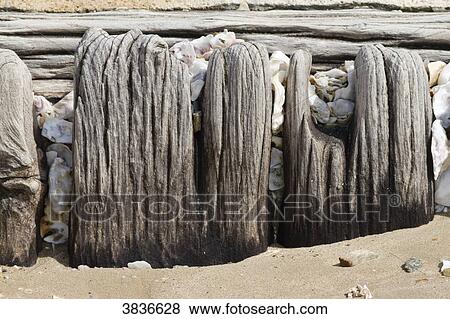 France, Les Moutiers-en-Retz, wooden board on the upper beach. View Large Photo Image Stock Photo - France, Les Moutiers-en-Retz, wooden board on the upper beach.. Fotosearch