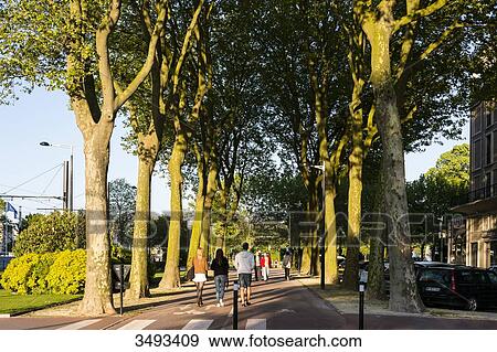 Stock Photo - France, Normandy, Le Havre. Avenue Foch, this magnificent comparable in dimensions to the Champs Elysees avenue in Paris, links Place de l'Hotel de Ville to the Porte Oceane and Le Havre beach.. Fotosearch