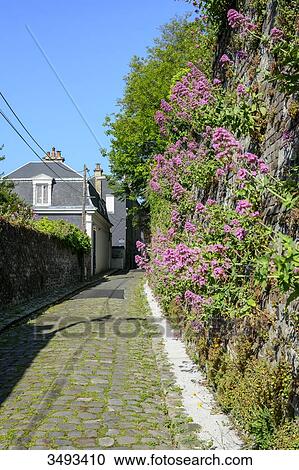 France, Normandy, Le Havre, upper town View Large Photo Image Stock Image - France, Normandy, Le Havre, upper town. Fotosearch