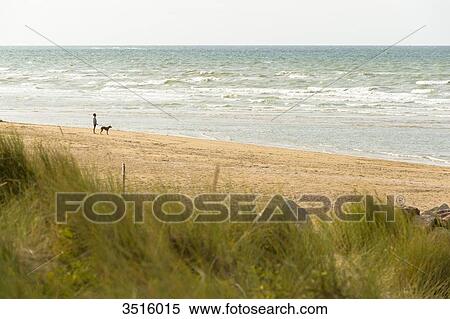 France, Normandy, Man holding his dog looking at the sea on the beach of Cabourg View Large Photo Image Stock Photography - France, Normandy, Man holding his dog looking at the sea on the beach of Cabourg. Fotosearch