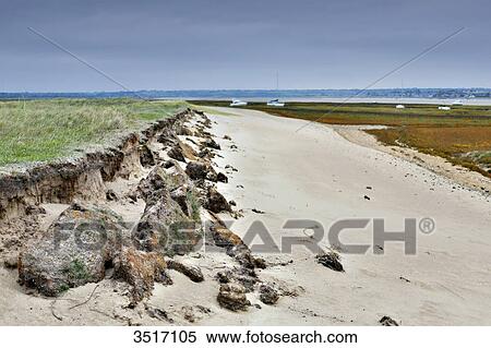 France, Normandy. Manche. Agon-Coutainville. Protected natural site Agon-Coutainville Cape. View Large Photo Image Stock Photography - France, Normandy. Manche. Agon-Coutainville. Protected natural site Agon-Coutainville Cape.. Fotosearch