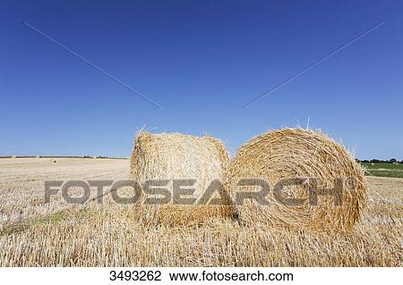 France, Normandy, Montmartin-sur Mer, Haystacks mechanically rolled at the time of harvest. View Large Photo Image Stock Image - France, Normandy, Montmartin-sur Mer, Haystacks mechanically rolled at the time of harvest.. Fotosearch