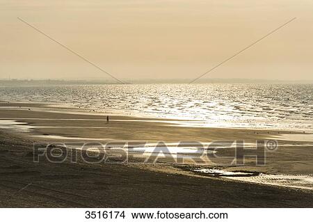 France, Normandy, one person walking on the beach at sunset View Large Photo Image Picture - France, Normandy, one person walking on the beach at sunset. Fotosearch