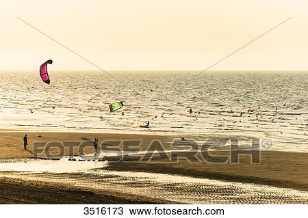 France, Normandy, people doing kite surf and kite at sunset on the seaside View Large Photo Image Stock Image - France, Normandy, people doing kite surf and kite at sunset on the seaside. Fotosearch