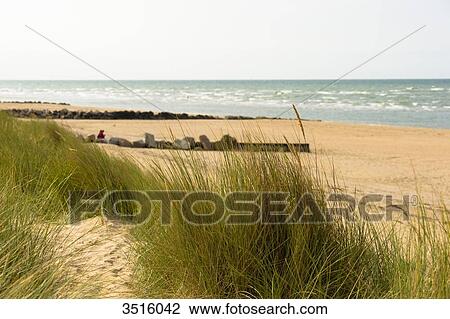 France, Normandy, seaside view from the dunes in Cabourg View Large Photo Image Stock Image - France, Normandy, seaside view from the dunes in Cabourg. Fotosearch
