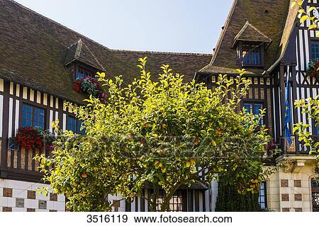France, Normandy, the Town house of Deauville in traditionnal normandic style View Large Photo Image Stock Photo - France, Normandy, the Town house of Deauville in traditionnal normandic style. Fotosearch