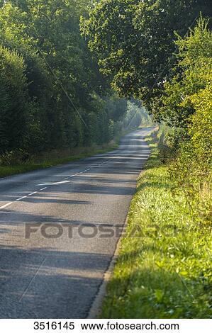 France, Normandy, typical little road in the countryside View Large Photo Image Stock Photography - France, Normandy, typical little road in the countryside. Fotosearch
