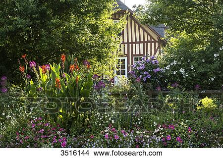 France, Normandy, well preserved old traditionnal houses in normandic style in the village of Beuvron en Auge View Large Photo Image Picture - France, Normandy, well preserved old traditionnal houses in normandic style in the village of Beuvron en Auge. Fotosearch