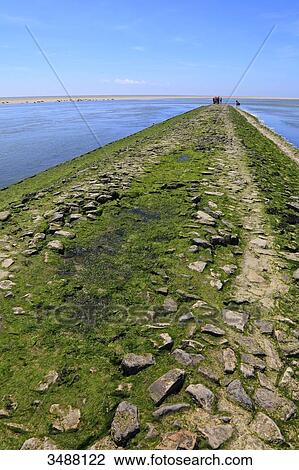 Stock Image - France, North Coast. Berck sur Mer.. Fotosearch