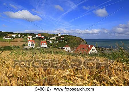 France, North Coast. Cap Gris-Nez, Audinghen, seaside houses View Large Photo Image Stock Photo - France, North Coast. Cap Gris-Nez, Audinghen, seaside houses. Fotosearch