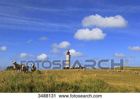 Stock Image - France, North Coast. CROSS (Operational Regional Centers of Sureveillance and Rescue). Fotosearch