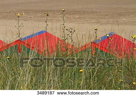 Stock Photo - France, Northern France, Gravelines. Petit-Fort Philippe. Beach huts. Fotosearch