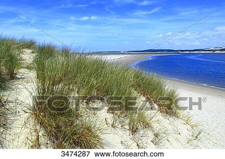 Stock Photo - France, Northern France, Le Touquet, Bay of Canche, The beach.. Fotosearch