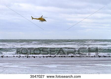France, Northern France, Le Touquet, helicopter above the Channel. View Large Photo Image Stock Photo - France, Northern France, Le Touquet, helicopter above the Channel.. Fotosearch