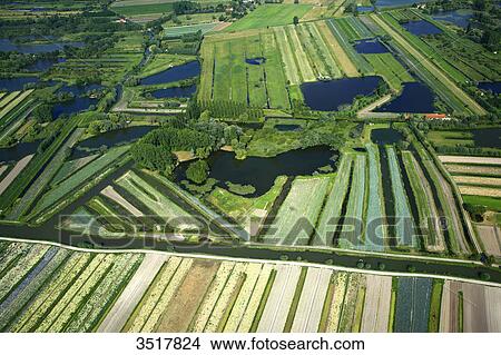 France, Northern France, Pas de Calais, Audomarois. Audomarois marsh or St-Omer marsh. View Large Photo Image Picture - France, Northern France, Pas de Calais, Audomarois. Audomarois marsh or St-Omer marsh.. Fotosearch