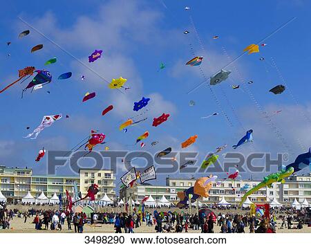 France, Northern France, Pas-de-Calais, Berck sur mer, kite festival View Large Photo Image Stock Image - France, Northern France, Pas-de-Calais, Berck sur mer, kite festival. Fotosearch