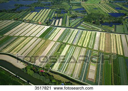 France, Northern France, Pas de Calais, Audomarois. Audomarois marsh or St-Omer marsh. View Large Photo Image Stock Image - France, Northern France, Pas de Calais, Audomarois. Audomarois marsh or St-Omer marsh.. Fotosearch