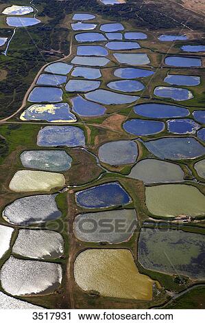 France, Northern France, Pas de Calais, Cote d'Opale. Les Hemmes de Marck. Marshes. View Large Photo Image Stock Image - France, Northern France, Pas de Calais, Cote d'Opale. Les Hemmes de Marck. Marshes.. Fotosearch