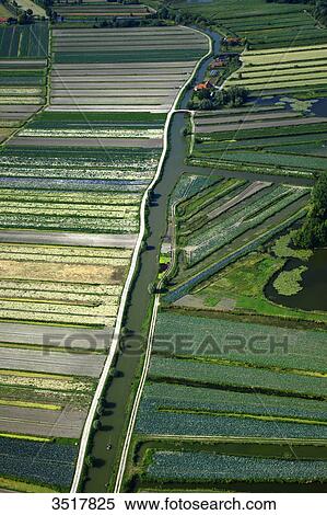 France, Northern France, Pas de Calais, Audomarois. Audomarois marsh or St-Omer marsh. View Large Photo Image Stock Photography - France, Northern France, Pas de Calais, Audomarois. Audomarois marsh or St-Omer marsh.. Fotosearch