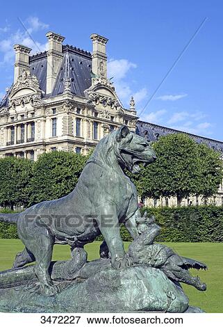 France, Paris. 1st arrondissement. Jardin des Tuileries. Sculpture Tiger slaying a crocodile by Auguste Nicolas Cain. The Louvre Museum in the background. View Large Photo Image Stock Photo - France, Paris. 1st arrondissement. Jardin des Tuileries. Sculpture Tiger slaying a crocodile by Auguste Nicolas Cain. The Louvre Museum in the background.. Fotosearch