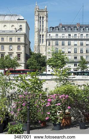 Stock Image - France. Paris 4th district. Ile de la Cite. Quay of Corse. Flower market renamed Flower market Queen Elisabeth II on June 7th, 2014. In the background: the tower Saint Jacques. Fotosearch