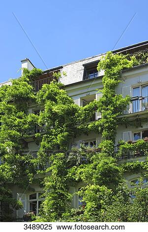 France, Paris. 5th arrondissement. Building covered in vegetation. View Large Photo Image Stock Photography - France, Paris. 5th arrondissement. Building covered in vegetation.. Fotosearch